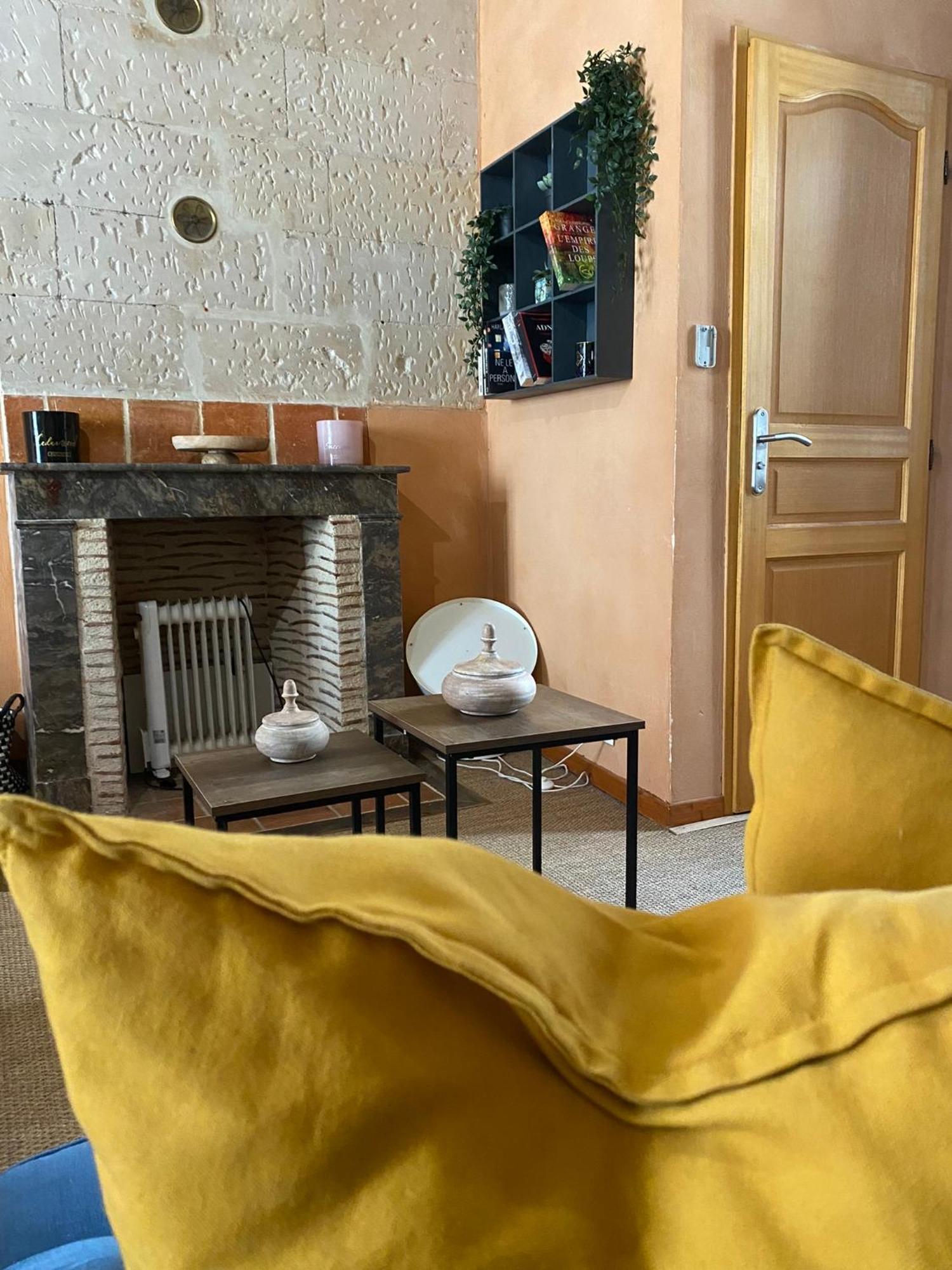 Grand Appartement Historique Rue Colbert Tours Ngoại thất bức ảnh