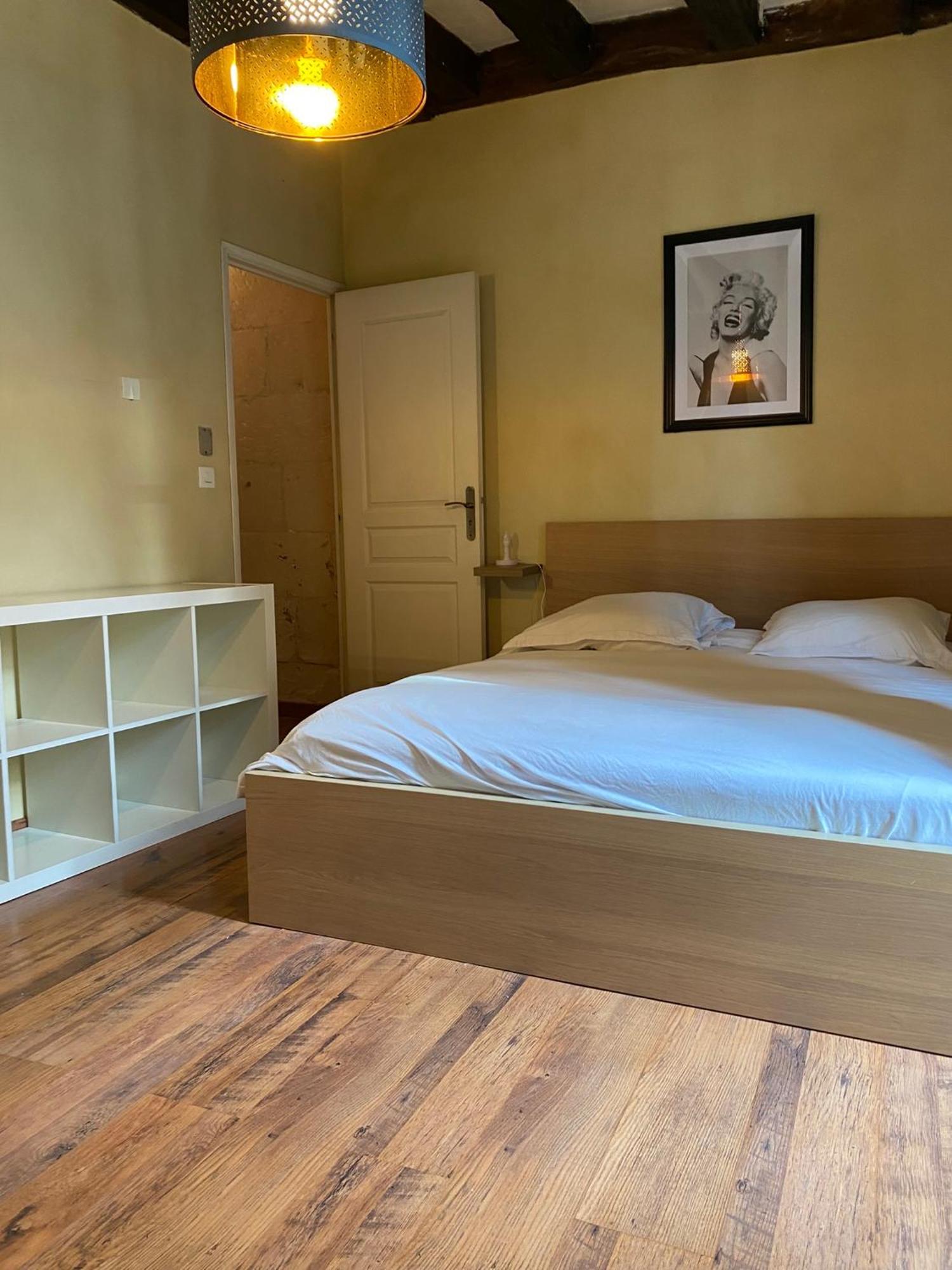Grand Appartement Historique Rue Colbert Tours Ngoại thất bức ảnh