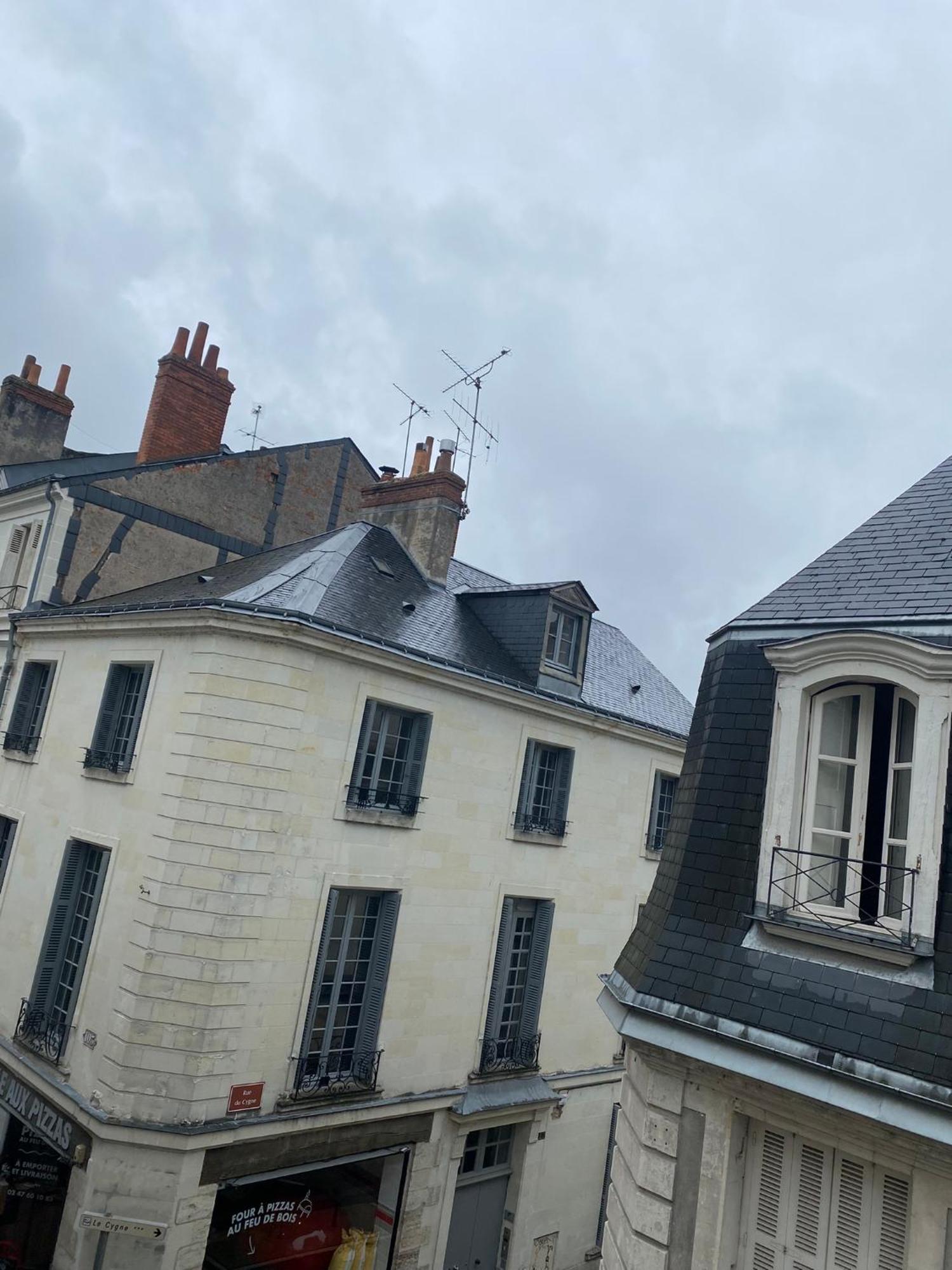 Grand Appartement Historique Rue Colbert Tours Ngoại thất bức ảnh