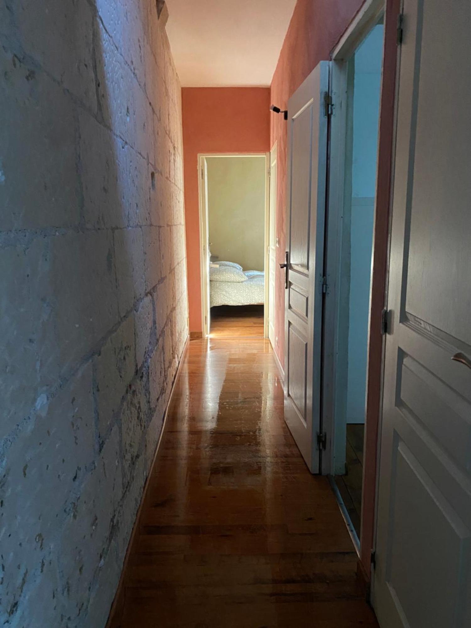 Grand Appartement Historique Rue Colbert Tours Ngoại thất bức ảnh