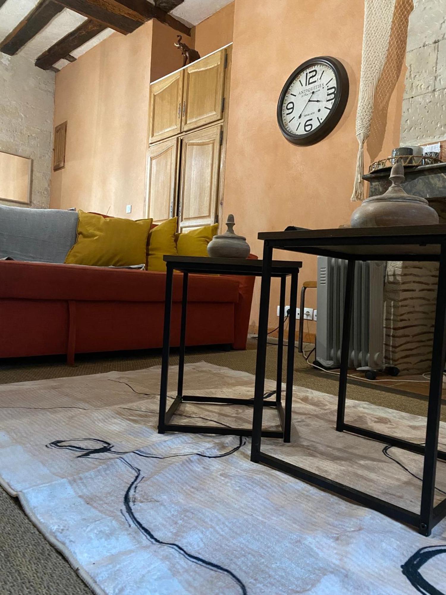 Grand Appartement Historique Rue Colbert Tours Ngoại thất bức ảnh