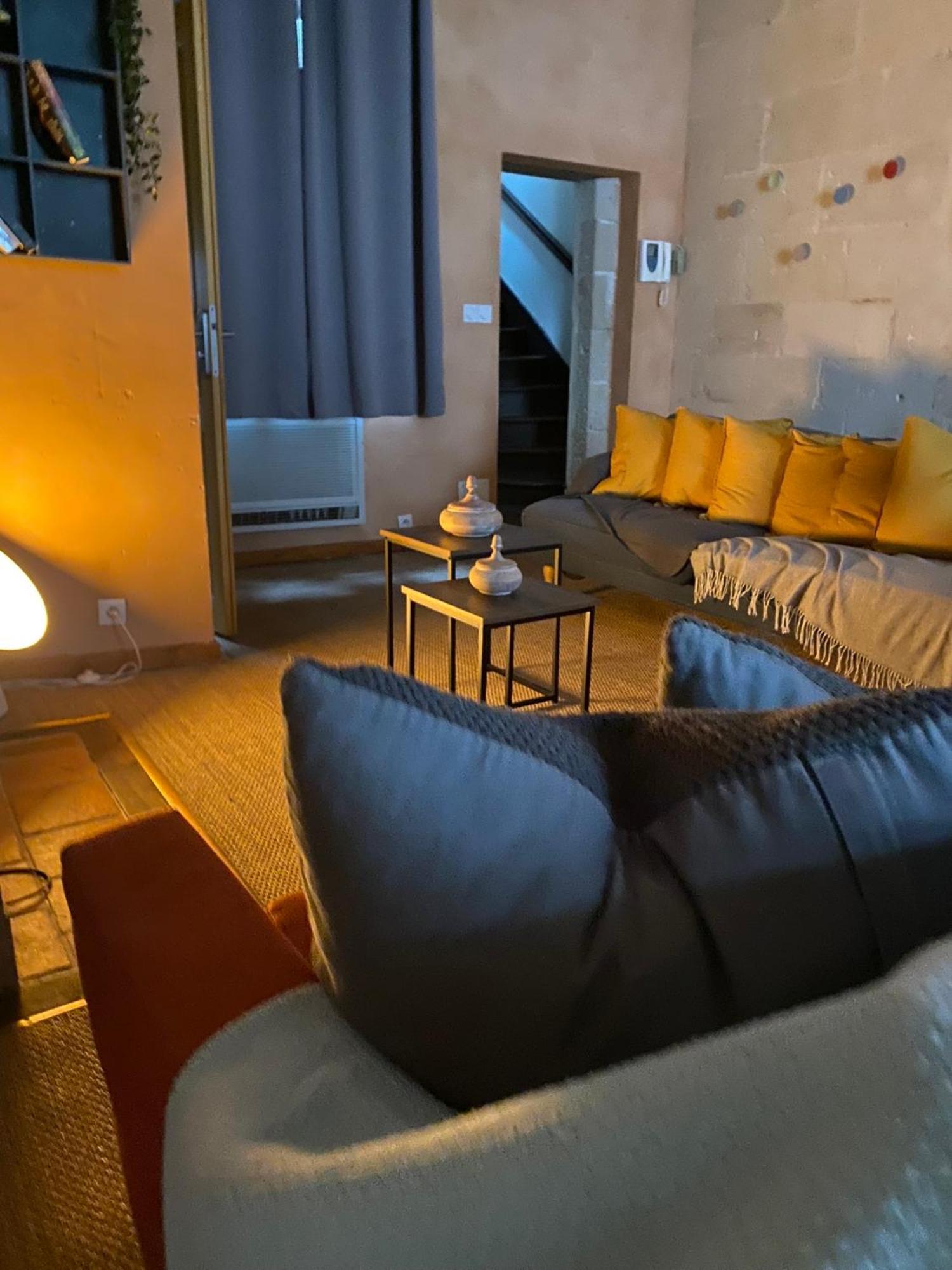 Grand Appartement Historique Rue Colbert Tours Ngoại thất bức ảnh